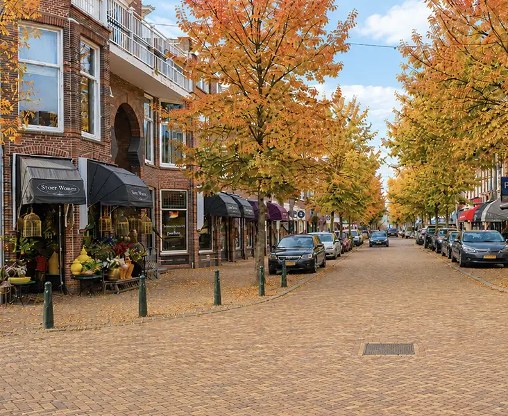 exclusief wonen in de bomenbuurt